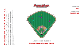 TEAM PRE-GAME: A FungoMan Drill Feature
