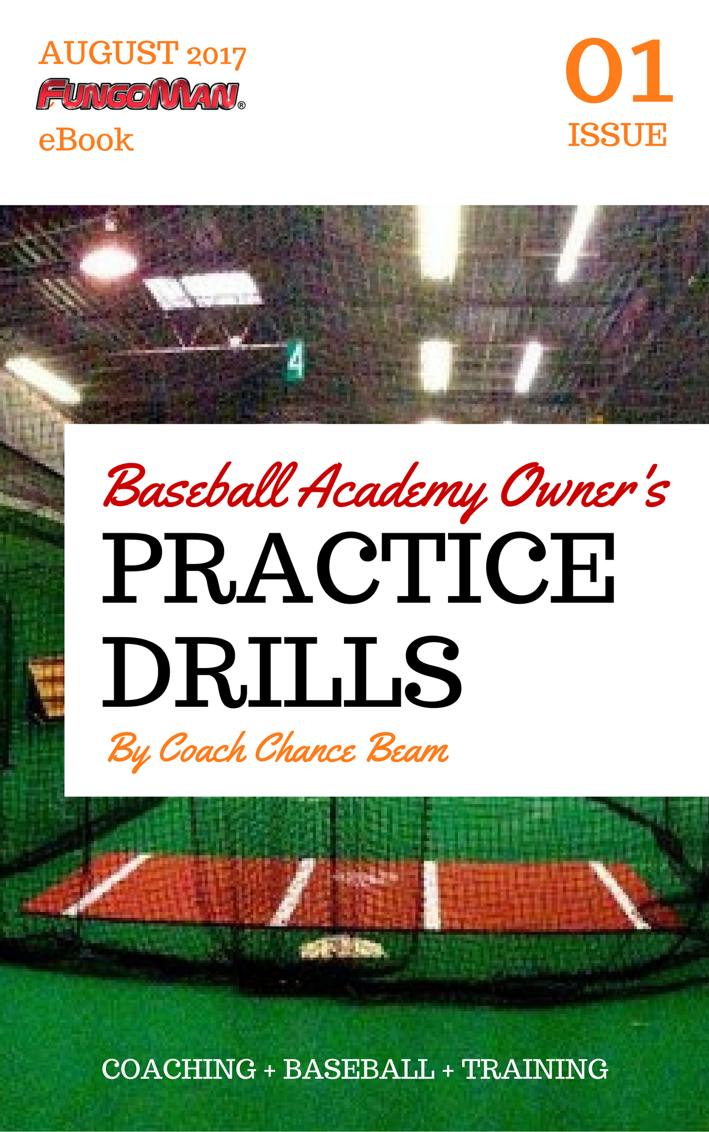 Baseball Drills To Double Your Reps in Practice pdf COVER (1).png